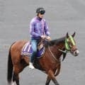 【函館記念】ピースワンデュックは仕切り直しの一戦　超ハイペースの前走は参考外　陣営「良馬場の方がいいですね」