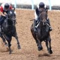 【ラジオＮＩＫＫＥＩ賞】キンググローリー逆襲へ迫力十分　古賀慎調教師「うまくここで挽回してくれれば」