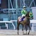 【さきたま杯】1番人気ウィルソンテソーロ敗れる…レース後ジョッキーコメント