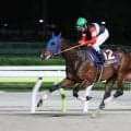 【注目馬動向】ダート２冠のフィンガーは初の海外遠征へ　米Ｇ１のパシフィッククラシックが目標