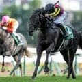 【函館記念出走馬・騎手確定】マジックサンズ＆横山和生騎手、エコロディノス＆池添謙一騎手など15頭