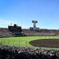 高校の硬式野球部員、12年間で4万6000人減少　“女子選手”は109人…日本高野連発表