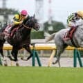 山の日に知りたい「山」のレース名 日本一の富士山から標高4.5mの天保山まで