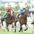蹄葉炎を乗り越えての戴冠 グレーターロンドンが制した18年中京記念を回想