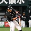 ロッテ・山口 球団日本人7年ぶり20号