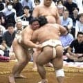 義ノ富士、父が熊本・宇城市で営む焼き肉店の営業再開を明かす…熊本地震で被害