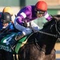半弟2頭がセール総額10億円超え！ 良血リラエンブレムが中京記念で復活なるか