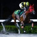 【浦和・ルーキーズサマーC結果】ウノキボンバイエが無傷2連勝で重賞初制覇