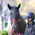 【中京記念】単勝回収率１５０％超えの鞍上に乗れ！２年連続３歳牝馬Ｖ狙うナムラコスモス　陣営も納得の出来