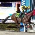 【浦和競馬】闘魂注入に応え逃走でウノキボンバイエがルーキーズサマーＣ優勝　室陽一朗騎手とともに重賞初制覇