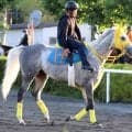 【札幌記念】前走で復活の走り！６歳馬マイネルモーントは引き続き好気配　陣営が自信の表情「状態ひとつの馬」