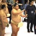 大栄翔、名横綱・千代の富士さんヒントに“ウルフ流トレ”で大関再挑戦を目指す「現役でいる以上は常に上を」
