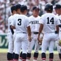 甲子園で視線集めた2文字　既視感覚えるファン続出…見かけた”融合”が「似てる」