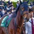 【札幌記念】レース史上初のセン馬Vなるか グランディア＆オニャンコポンが参戦だ