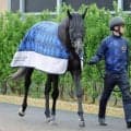 【新潟記念・２週前】日本ダービー回避のゾロアストロは仕切り直しの一戦へ　宮田調教師「ここでやれれば楽しみが増える」