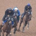 【新潟２歳Ｓ・１週前】トウシンマジックが不良馬場で自己ベスト　「あんなに走れるとは」と秋本師は手応え十分