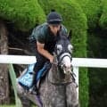 【札幌記念】凱旋門賞挑戦のアドマイヤテラは芝コースで軽快な伸び　陣営「２０００メートルなのでいつもよりシャープな体と動き」