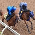 【中京記念】重賞初Ｖ狙うカネラフィーナは坂路で軽め　手塚久調教師「状態はいいので、あとは展開と適性がどうか」