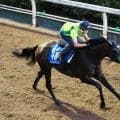 【中京記念】サトノシャイニングは首を連動させて軽快に登坂　乗り替わりに杉山晴調教師「合うんじゃないかな」