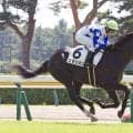 【注目馬動向】田辺裕信騎手が評価するコラリオンは百日草特別が本線　アイビーＳや東京スポーツ杯２歳Ｓも選択肢に