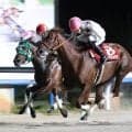 【読売レディス杯】高知から遠征のスカンジナビアが８連勝で重賞初勝利　井上瑛太騎手「自信満々で金沢まで来ました」