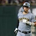 巨人ダルベック、阪神・佐藤輝明を称賛　MLB259発男級の高評価「非常に高い」