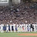復刻試合にいた美女の正体「行ってたんや」　また“出没”に感動の声「超美人」