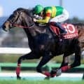 【札幌記念】15回目の挑戦で悲願成就へ エコロヴァルツが初タイトルを狙う