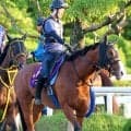 【注目馬動向】ママコチャは武豊騎手とのコンビでセントウルＳから復帰　その後は３年ぶりＶ狙うスプリンターズＳへ