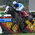 【札幌記念出走馬・騎手確定】アドマイヤテラ＆坂井瑠星騎手、ショウヘイ＆川田将雅騎手など16頭