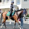 【ＰＯＧ】マカヒキ×アパパネのククイプカは札幌競馬場でゲート試験へ向け調整中　長浜鴻緒騎手「走りは素軽く背中も柔らかい」