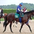 【ＰＯＧ】母に海外Ｇ１馬の良血馬ホウオウワールドが１６日の中京３Ｒでデビュー　池江調教師「瞬発力がありますね」