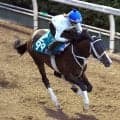 【ＰＯＧ】今村聖奈騎手の手綱で重賞ウィナーの母と姉を持つ良血馬がデビュー　「調教を重ねるごとに良くなっています」
