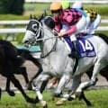 名牝スマートレイアーの5番仔 トップレイアーがデビュー勝ちなるか