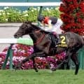 【注目馬動向】札幌日経賞勝ちのミラージュナイトはオールカマーか京都大賞典の両にらみ