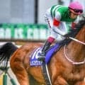 2歳女王レシステンシアの初仔 コルベータがデビュー勝ちなるか