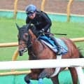 【札幌記念】ホウオウビスケッツは馬体スッキリ　昨年１２キロ増で７着　陣営「普段の調教から太くならないようにした」