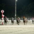 【門別・北海道スプリントC結果】地元のベストグリーンがJRA勢を撃破！DG初制覇で重賞4勝目を飾る