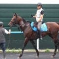 【札幌記念・データ埋蔵金】Ｇ１馬不在の今年は荒れる！？　好走を後押しする前走データから９歳馬を馬券の軸に指名