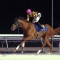 【北海道スプリントＣ】地元のベストグリーンがＪＲＡ勢を撃破　落合玄太騎手は当レース３勝目「これからも中央馬を相手に強い競馬を」