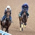 【新潟２歳Ｓ・１週前】初陣３馬身差Ｖのレッチュベルクに田辺節で高評価「ラッキーで新馬を勝った馬ではない」