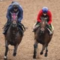 【新潟２歳Ｓ・１週前】シャンデヴァーグは鋭い加速で１馬身先着　津村明秀騎手「落ち着きがあって雰囲気はいい方に来ている」