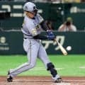 【阪神】坂本誠志郎が逆転２ラン「彼にとっては１つ大きなこと」下村にプロ初勝利贈る