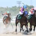 【注目馬動向】レパードＳ勝ちのチェリヴェントはＪＤクラシックに参戦　３歳ダート３冠「最後の１冠」を狙う