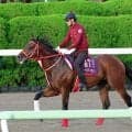 日本馬最上位フォーエバーヤング＆メイショウタバルは１７位タイに後退　ロンジンワールドベストレースホースランキング