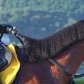 【注目馬動向】初来日の「インドのマジックマン」スラジ・ナレドゥ騎手とコンビ　イツモニコニコはキーンランドＣへ