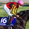 叔父に皐月賞馬＆日本ダービー馬 リボンロードが川田将雅騎手で初陣だ