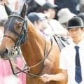 前走1着馬が不振の札幌記念 グランディア＆ゼンダンハヤブサがジンクス克服に挑戦だ
