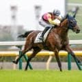 【新潟2歳S想定馬・騎手】レッチュベルク、シャンデヴァーグなど7頭
