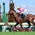 【競馬予想】「スーパーＧⅡ」札幌記念は実績馬に死角あり　気鋭の人馬が大仕事を果たす
